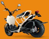 2002 Honda Zoomer photo